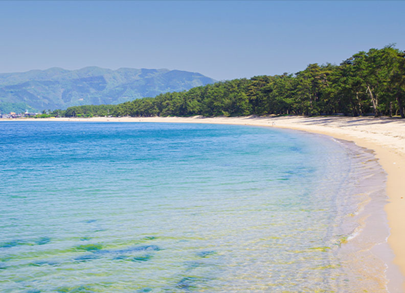 画像:気比の松原